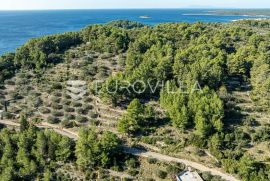 Otok Korčula, zemljište s projektom kuće s bazenom, Vela Luka, Terrain