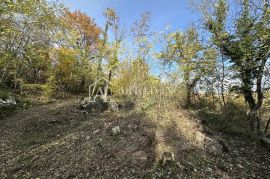 Istra, Buje, okolica - poljoprivredno zemljište 20.000 m2 sa ucrtanim objektom, Buje, Tierra