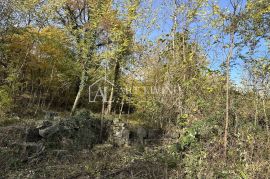 Istra, Buje, okolica - poljoprivredno zemljište 20.000 m2 sa ucrtanim objektom, Buje, Tierra