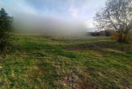 Građevinsko zemljište s pogledom na more, okolica Vodnjana, Vodnjan, Terrain