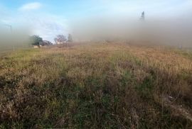 Građevinsko zemljište s pogledom na more, okolica Vodnjana, Vodnjan, Land