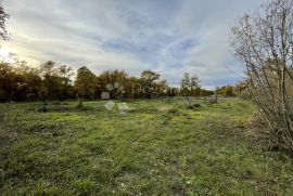 GRAĐEVINSKO ZEMLJIŠTE SA IDEJNIM RJEŠENJEM ZA DUPLEX VILU, Buje, Terrain