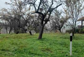 TOP GRAĐEVINSKA PARCELA U GORNJEM MEĐIMURJU, Štrigova, Terreno