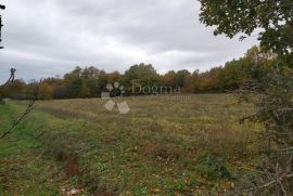 Prostrano građevinsko zemljište otvorenog pogleda, Barban, Land