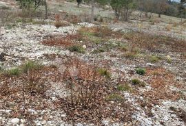 TOP GRAĐEVINSKO ZEMLJIŠTE SA NEPROCJENJIVIM POGLEDOM, Raša, Land