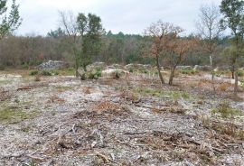 TOP GRAĐEVINSKO ZEMLJIŠTE SA NEPROCJENJIVIM POGLEDOM, Raša, Terreno