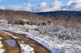 KRIŽPOLJE ( Brinje ) - građevinsko zemljište s postojećom kućom, Brinje, Terreno