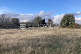 Istra, Čabrunići, građevinsko zemljište 1844m2 u samom centru mjesta, Svetvinčenat, Land