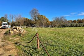 SPOJ SREDIŠNJE I ZAPADNE ISTRE, IDEALNO ZA GRADNJU 4 KUĆE, Višnjan, Terrain