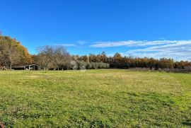 Višnjan - građevinsko zemljište za 2 kuće, Višnjan, Land