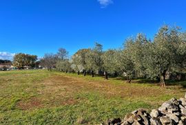 Višnjan - građevinsko zemljište za 2 kuće, Višnjan, Terreno