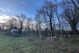 LIPE ZEMLJIŠTE 10399 M2 U OAZI PRIRODE NA KORAK DO GRADA, Gospić, Land