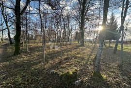 LIPE ZEMLJIŠTE 10399 M2 U OAZI PRIRODE NA KORAK DO GRADA, Gospić, Zemljište