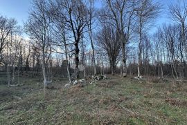 LIPE ZEMLJIŠTE 10399 M2 U OAZI PRIRODE NA KORAK DO GRADA, Gospić, Terrain