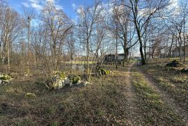 LIPE ZEMLJIŠTE 10399 M2 U OAZI PRIRODE NA KORAK DO GRADA, Gospić, Land