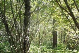 GOSPIĆ, Divoselo - građevinsko i poljoprivredno zemljište, šuma, Gospić - Okolica, Terrain