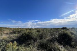 Valtura, Poljoprivredno zemljište, 1000m2, Ližnjan, Land