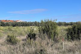 Poljoprivredno zemljište nadomak Pule, 1000m2, Ližnjan, Terrain