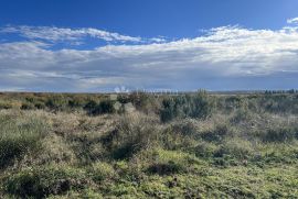 Poljoprivredno zemljište nadomak Pule, 1000m2, Ližnjan, Tierra