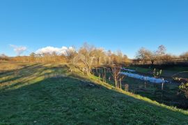 ISTRA, PAZIN - Kombinacija građevinskog, poljoprivrednog i zemljišta sportske namjene s kućom i pano pogledom, Pazin - Okolica, Земля