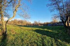 ISTRA, PAZIN - Kombinacija građevinskog, poljoprivrednog i zemljišta sportske namjene s kućom i pano pogledom, Pazin - Okolica, Land