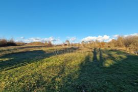 ISTRA, PAZIN - Kombinacija građevinskog, poljoprivrednog i zemljišta sportske namjene s kućom i pano pogledom, Pazin - Okolica, Land