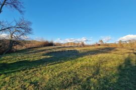 ISTRA, PAZIN - Kombinacija građevinskog, poljoprivrednog i zemljišta sportske namjene s kućom i pano pogledom, Pazin - Okolica, Terrain