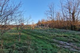 ISTRA, PAZIN - Kombinacija građevinskog, poljoprivrednog i zemljišta sportske namjene s kućom i pano pogledom, Pazin - Okolica, Terrain