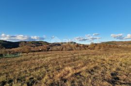 ISTRA, PAZIN - Kombinacija građevinskog, poljoprivrednog i zemljišta sportske namjene s kućom i pano pogledom, Pazin - Okolica, أرض