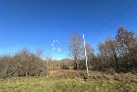 ŽITNIK GRAĐEVINSKO ZEMLJIŠTE 66332 M2 S 3 POSTOJEĆA OBJEKTA, Gospić - Okolica, Tierra