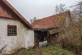 OGULIN,TOUNJ- Veliko imanje s kućom, gospodarskim objektima i šumom, Tounj, Terra