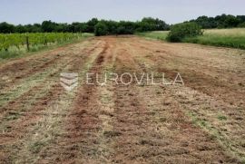 Istra, Muntić - građevinsko zemljište na mirnoj lokaciji uz cestu 904 m2, Ližnjan, Terra