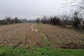 Buzin zemljište, Novi Zagreb - Istok, Terreno