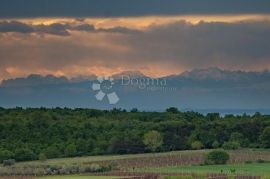 Parcela u pitoresknom mjestu na čarobnom Istarskom poluotoku!, Višnjan, Land