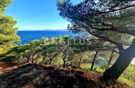 Omiška Rivijera - mala kuća PRVI RED DO MORA, pristup plaži, Omiš, Haus