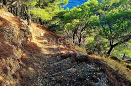 Omiška Rivijera - mala kuća PRVI RED DO MORA, pristup plaži, Omiš, Haus