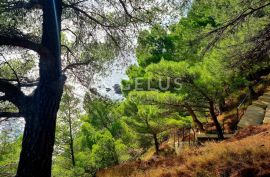 Omiška Rivijera - građ.zemljište PRVI RED DO MORA, pristup plaži, Omiš, Land