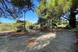 Tisno - stara villa na parceli od 10.000m2 s vinogradom i maslinikom, Tisno, Σπίτι