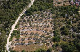 Ston, Zaton Doli - građevinsko zemljište s pogledom na malostonski zaljev, 2298 m2, Ston, Land