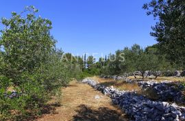 Ston, Zaton Doli - građevinsko zemljište s pogledom na malostonski zaljev, 2298 m2, Ston, أرض