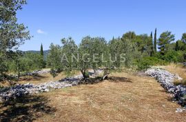 Ston, Zaton Doli - građevinsko zemljište s pogledom na malostonski zaljev, 2298 m2, Ston, Zemljište