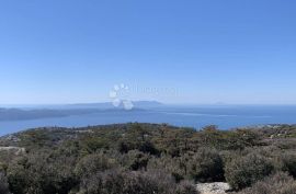 POLJOPRIVREDNO ZEMLJIŠTE, OTOK BRAČ 31932m2, Nerežišća, Γη