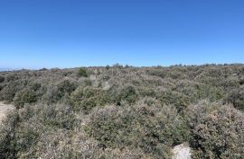 POLJOPRIVREDNO ZEMLJIŠTE, OTOK BRAČ 31932m2, Nerežišća, Terrain