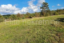 PAZIN- Prostrano zemljište turističke namjene, prilika za investitore!, Pazin - Okolica, Terreno