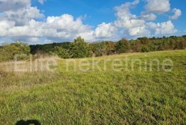 ISTRA, PAZIN- Atraktivno prostrano zemljište u samom srcu Istre!, Pazin - Okolica, Tierra