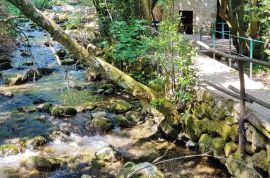 Dvojne kuće s bazenima u zelenilu. Okružene prirodnim ljepotama dubrovačkog kraja, Dubrovnik - Okolica, House