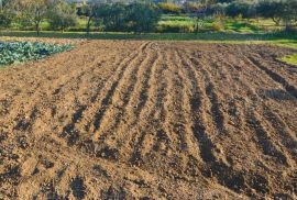 Poljoprivredno zemljište 1781 m2 na lijepoj poziciji u blizini Dubrovnika, Dubrovnik - Okolica, Land