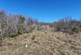 ISTRA, RABAC - Poljoprivredno zemljište, Labin, Terrain