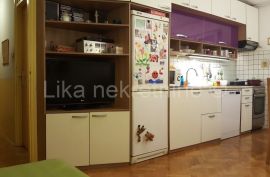 ZAGREB - KNEŽIJA-2,5 sobni, 4kat, funkcionalno uređen, lođa, Zagreb, Flat