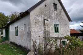 BRINJE - Lučane, starinska kuća, štala, drvarnica, zemljište, Brinje, Ev
